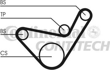 CONTINENTAL CT1107 - Ремінь ГРМ autozip.com.ua