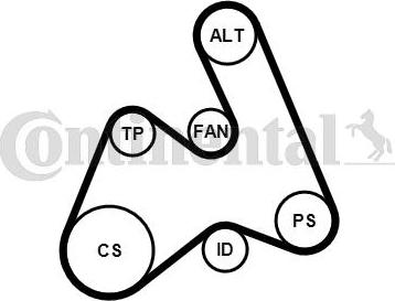 Contitech 5PK1592K1 - Поликлиновий ремінний комплект autozip.com.ua