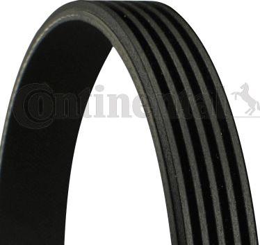 CONTINENTAL 5 PK 1441 - Поліклиновий ремінь autozip.com.ua