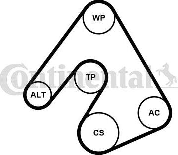 CONTITECH 5PK1207WP2 - Водяний насос + комплект струмкових ременів autozip.com.ua