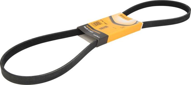 CONTINENTAL 5PK1207 - Поліклиновий ремінь autozip.com.ua