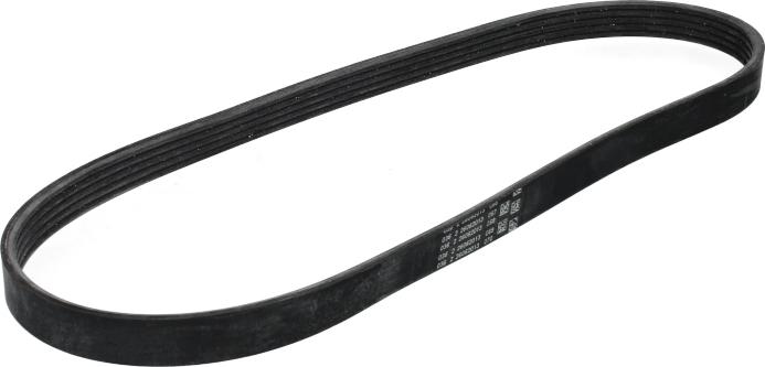 CONTINENTAL 5 PK 898 ELAST - Поліклиновий ремінь autozip.com.ua