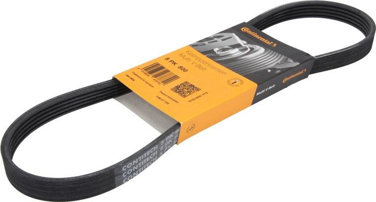 CONTINENTAL 5PK800 - Поліклиновий ремінь autozip.com.ua