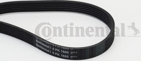 Contitech 6PK1605 - Поліклиновий ремінь autozip.com.ua