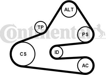 Contitech 6 PK 1613 K1 - Поликлиновий ремінний комплект autozip.com.ua