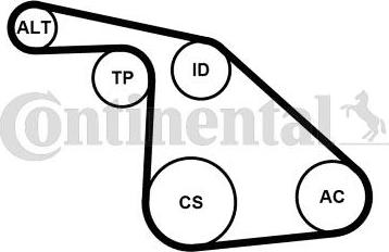CONTINENTAL 6PK1038K1 - Поликлиновий ремінний комплект autozip.com.ua