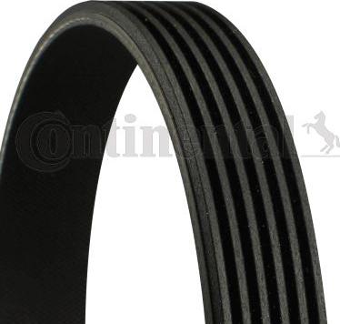 CONTINENTAL 6 PK 802 EXTRA - Поліклиновий ремінь autozip.com.ua