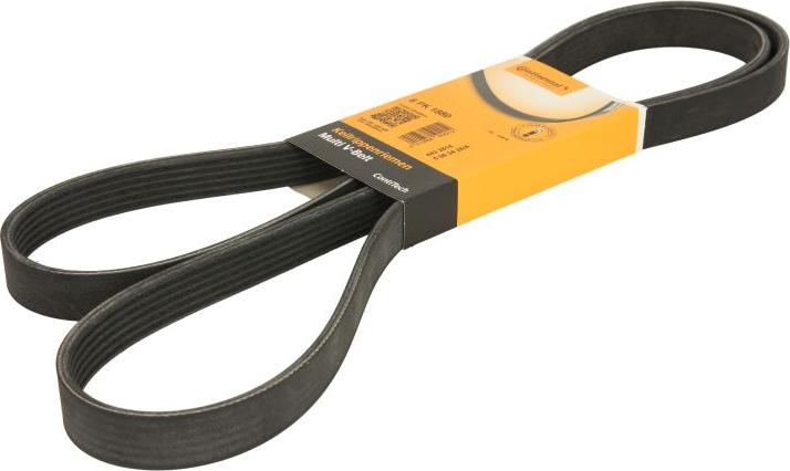 CONTINENTAL 6PK1880 - Поліклиновий ремінь autozip.com.ua