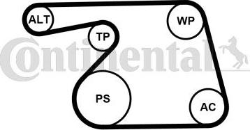 Continental 6PK1318WP1 - Водяний насос + комплект струмкових ременів autozip.com.ua