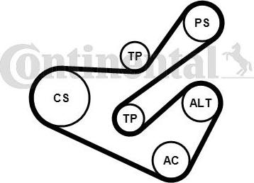 Contitech 6PK1740K1 - Поликлиновий ремінний комплект autozip.com.ua