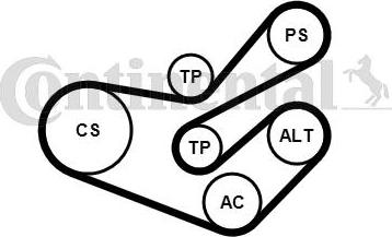 Contitech 6PK1750K3 - Поликлиновий ремінний комплект autozip.com.ua