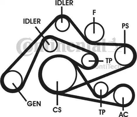 Continental 6PK2404D1 - Поликлиновий ремінний комплект autozip.com.ua