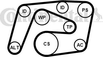 CONTITECH 6PK2260K1 - Поликлиновий ремінний комплект autozip.com.ua