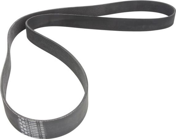 CONTINENTAL 11 PK 2020 - Поліклиновий ремінь autozip.com.ua