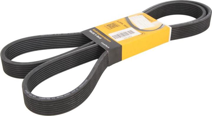 CONTINENTAL 8 DPK 1833 - Поліклиновий ремінь autozip.com.ua