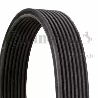 CONTINENTAL 8 DPK 1833 - Поліклиновий ремінь autozip.com.ua