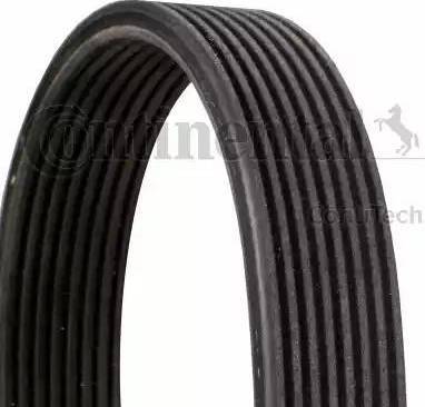 CONTINENTAL 8DPK1827 - Поліклиновий ремінь autozip.com.ua