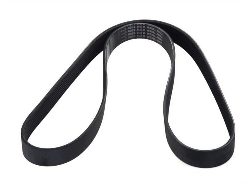 CONTINENTAL 8PK1509 - Поліклиновий ремінь autozip.com.ua