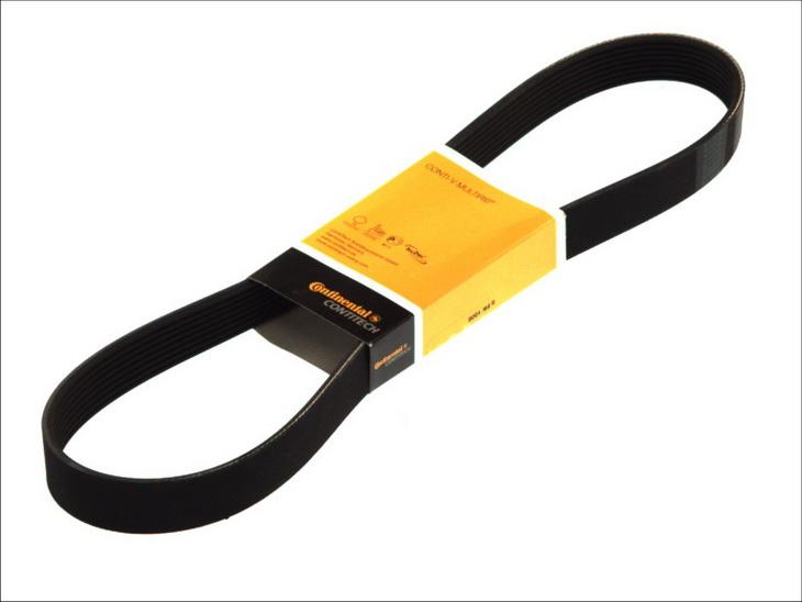 CONTINENTAL 8PK1376 - Поліклиновий ремінь autozip.com.ua