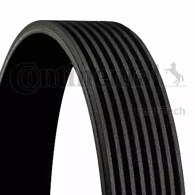 CONTINENTAL 8PK2188 - Поліклиновий ремінь autozip.com.ua