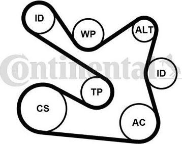 Continental 7PK1605K1 - Натягувач ременя, клинові зуб. autozip.com.ua