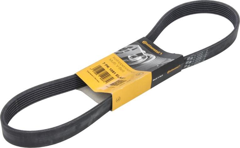 CONTINENTAL 7PK1051 ELAST - Поліклиновий ремінь autozip.com.ua