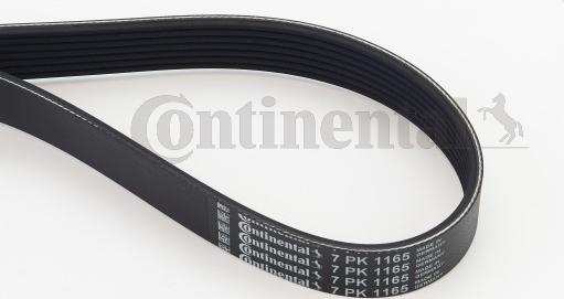 Contitech 7 PK 1165 - Поліклиновий ремінь autozip.com.ua