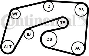 Continental 7PK2035K1 - Поликлиновий ремінний комплект autozip.com.ua