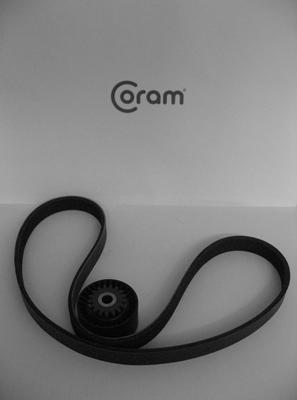 CORAM KTC991.80 - Поликлиновий ремінний комплект autozip.com.ua