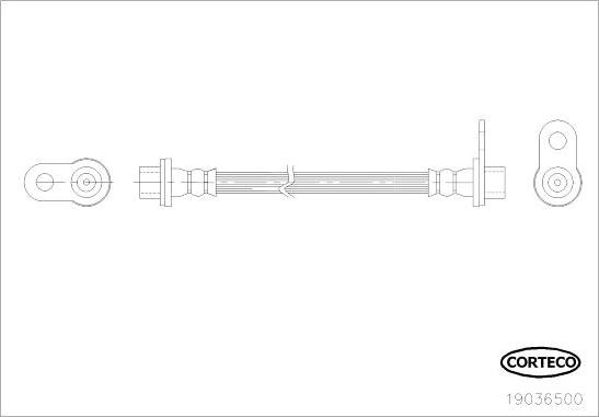Corteco 19036500 - Гальмівний шланг autozip.com.ua