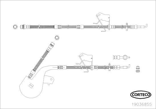 Corteco 19036855 - Гальмівний шланг autozip.com.ua