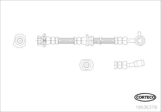 Corteco 19036379 - Гальмівний шланг autozip.com.ua