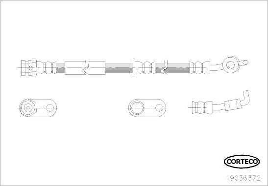 Corteco 19036372 - Гальмівний шланг autozip.com.ua