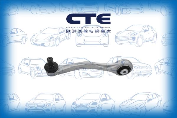 CTE CS-1954L - Важіль незалежної підвіски колеса autozip.com.ua