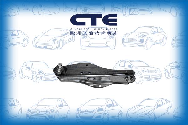 CTE CS-110L - Важіль незалежної підвіски колеса autozip.com.ua