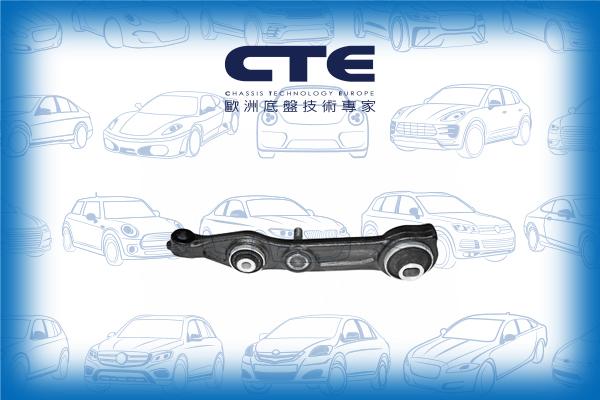 CTE CS-2113L - Важіль незалежної підвіски колеса autozip.com.ua
