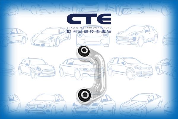 CTE CSL19013 - Тяга / стійка, стабілізатор autozip.com.ua