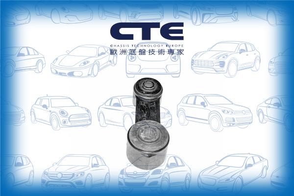 CTE CSL18001 - Тяга / стійка, стабілізатор autozip.com.ua