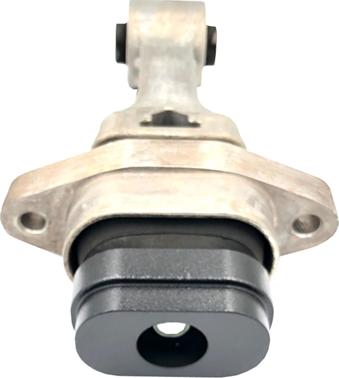 CTR GZ0115 - Подушка, підвіска двигуна autozip.com.ua
