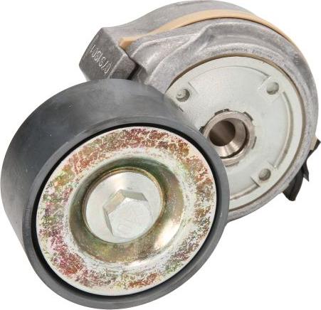DAYCO APV1134 - Натягувач ременя, клинові зуб. autozip.com.ua