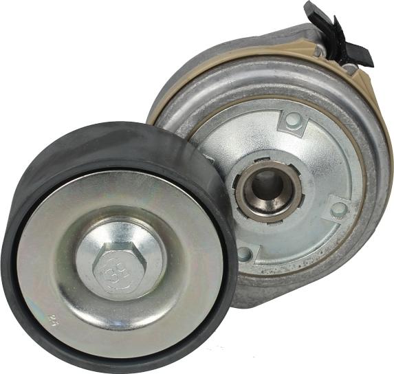 DAYCO APV1128 - Натягувач ременя, клинові зуб. autozip.com.ua