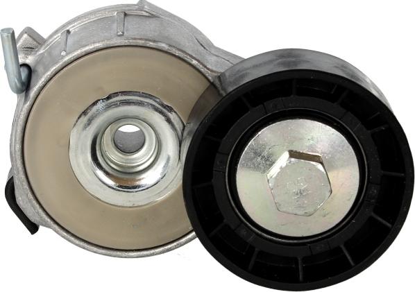 DAYCO APV2463 - Натягувач ременя, поліклиновий ремінь autozip.com.ua