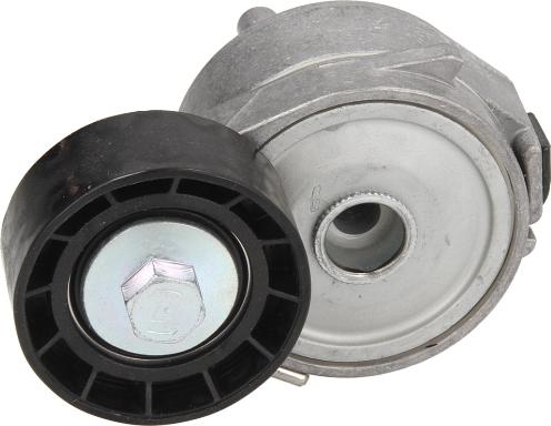 DAYCO APV2556 - Натягувач ременя, клинові зуб. autozip.com.ua