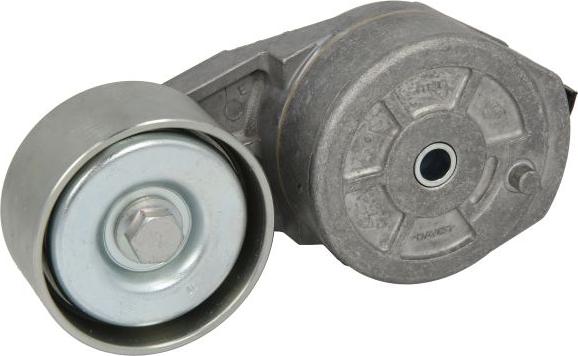 DAYCO APV2641 - Натягувач ременя, клинові зуб. autozip.com.ua