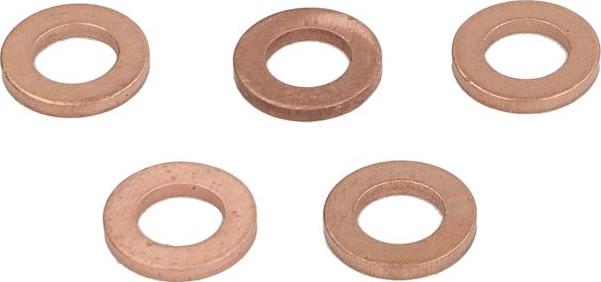 Delphi 9001-850J - Кільце ущільнювача, клапанна форсунка autozip.com.ua