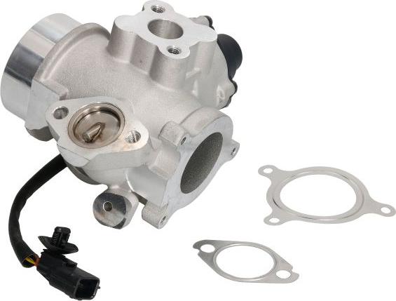 Delphi EG10461-12B1 - Клапан повернення ОГ autozip.com.ua