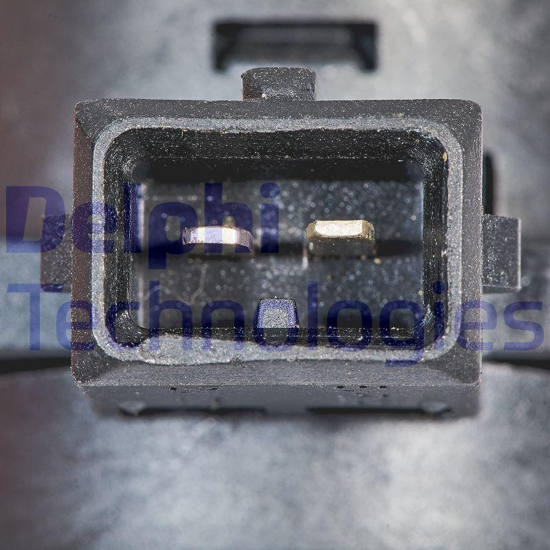 Delphi EG10647-12B1 - Клапан повернення ОГ autozip.com.ua