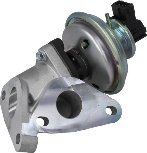 Delphi EG10625-12B1 - Клапан повернення ОГ autozip.com.ua