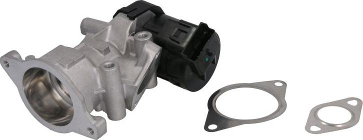 Delphi EG10396-12B1 - Клапан повернення ОГ autozip.com.ua