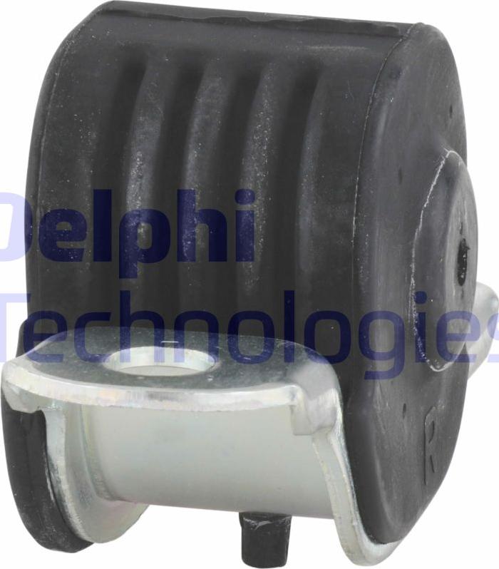 Delphi TD389W-11B1 - Сайлентблок, важіль підвіски колеса autozip.com.ua